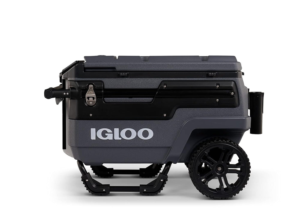 Multifunctional Thermal Cooler for Camping, Beach, and Outings