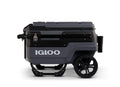 Multifunctional Thermal Cooler for Camping, Beach, and Outings