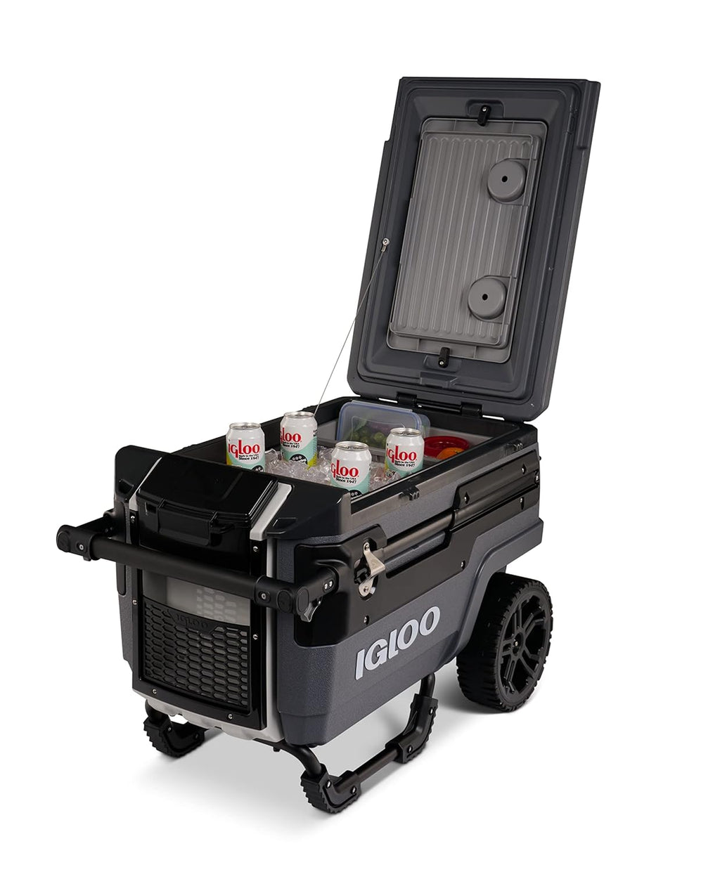 Multifunctional Thermal Cooler for Camping, Beach, and Outings