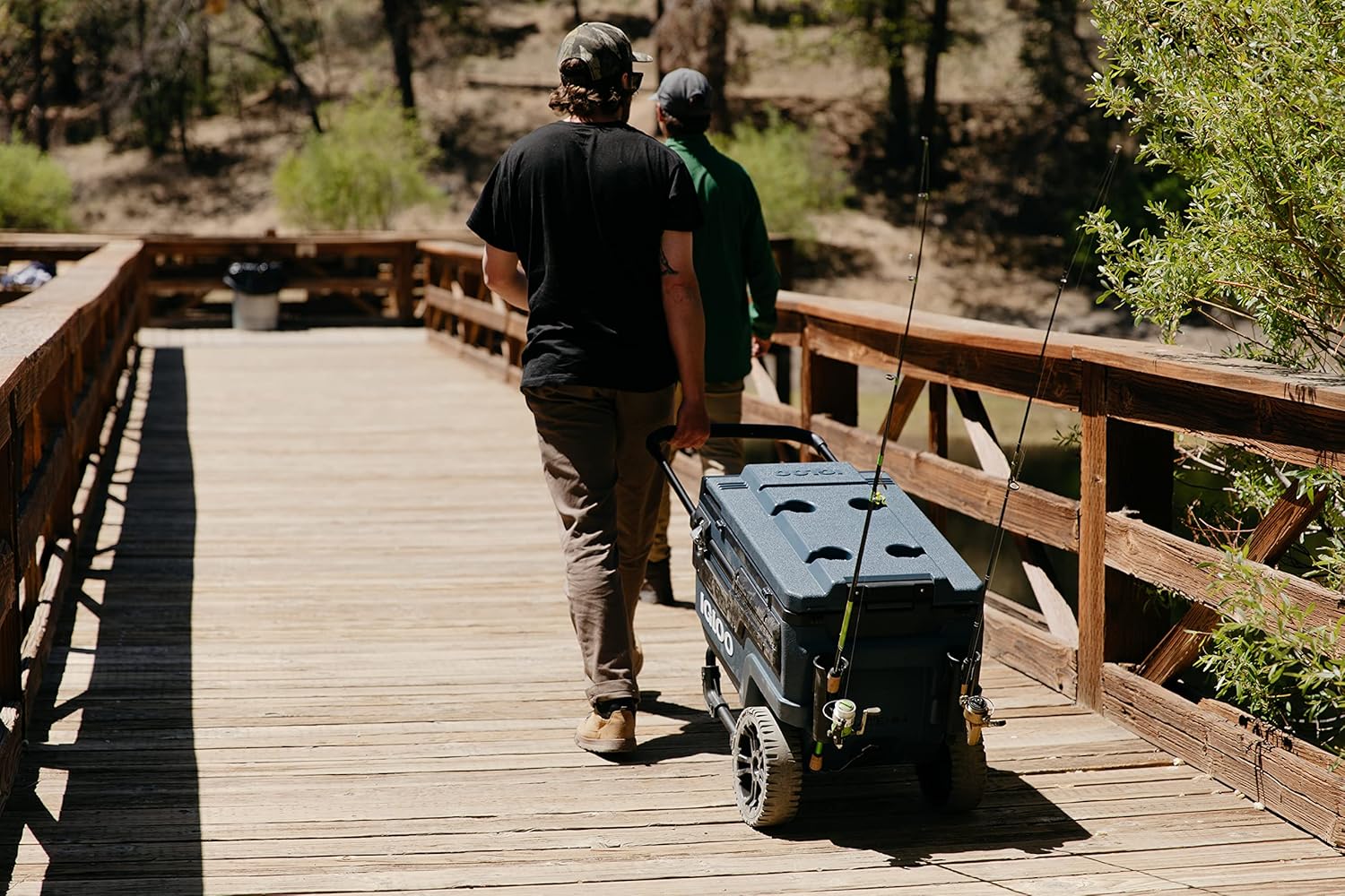 Multifunctional Thermal Cooler for Camping, Beach, and Outings