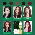 🔥🔥🔥Plant Extract Bubble Hair Dye